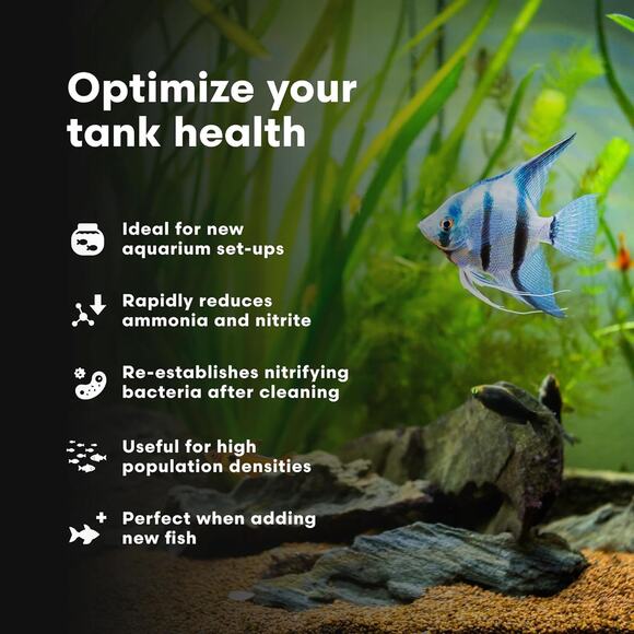 Brightwell Aquatics MicroBacter Start XLF - Concentrated Freshwater Nitrifying B - Picture 4 of 5